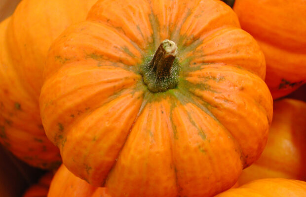 Pumpkin Spice Season Is In Full Swing