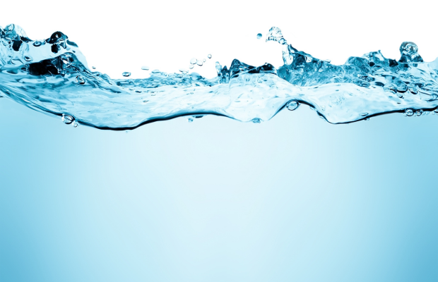 Go Green Tip: Water Conservation with Neal Go Green Tip: Water Conservation with Neal
