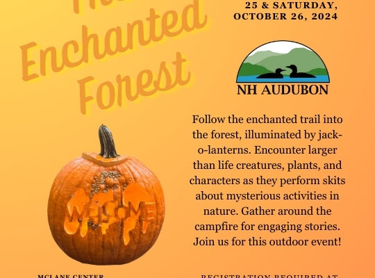 NH Audubon’s Enchanted Forest NH Audubon’s Enchanted Forest