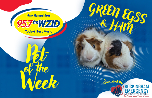 Green Eggs and Ham – 1/7/24