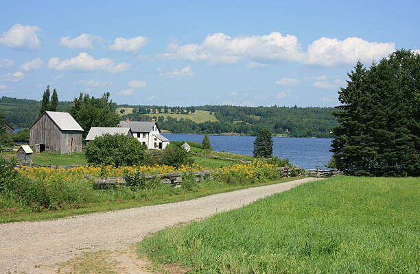 Abby’s Joke: Why Did The Chicken Cross The Road…