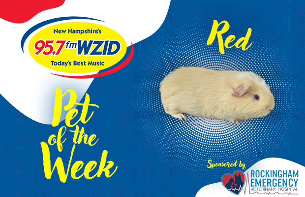 Red – 3/4/2025