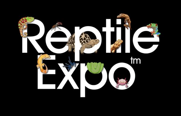 New England Reptile Expo