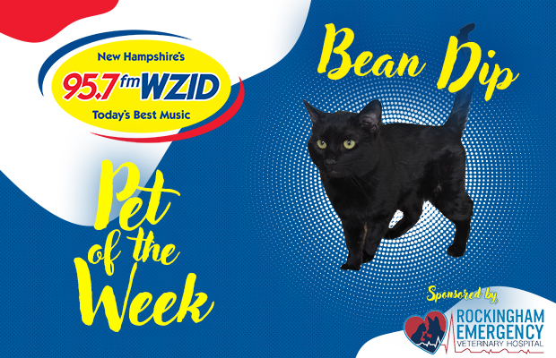 Bean Dip – 4/8/25