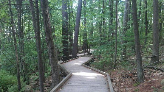 Visit Livingston Park