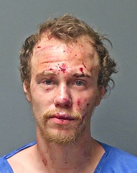 11-Month-Old and 11-Year-Old Struck by a Reckless Driver