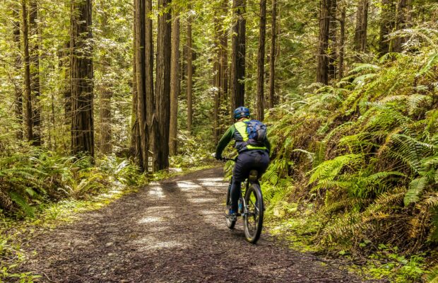 Tour de NH 2025 – Rail Trail Bike Ride