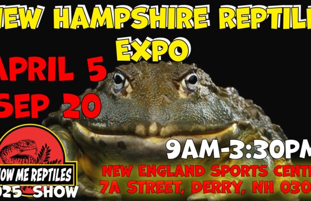 New Hampshire Reptile Expo