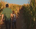 Elwood Orchards - Corn maze