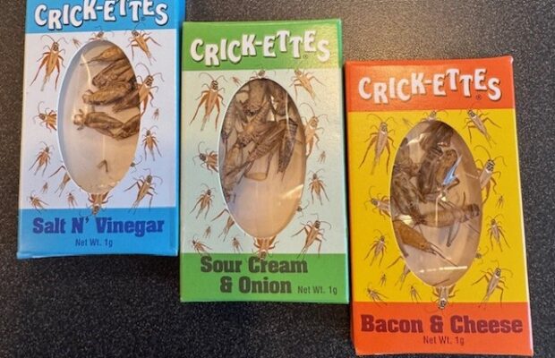 Will You Eat It Crickets 10/1/2025