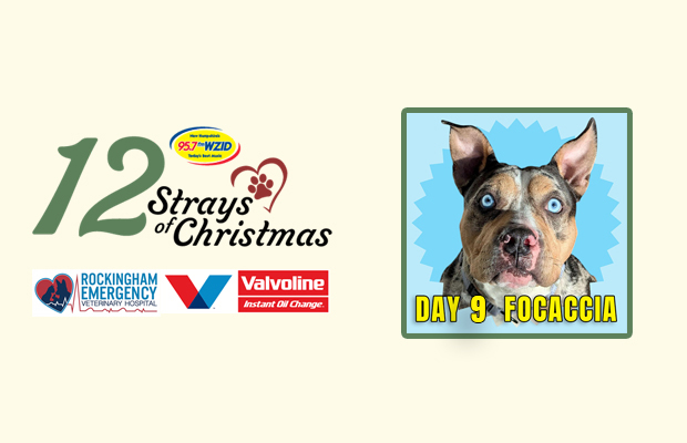 Day 9 – Focaccia