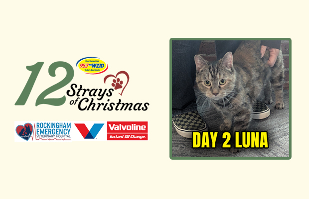 Day 2 – Luna Day 2 – Luna