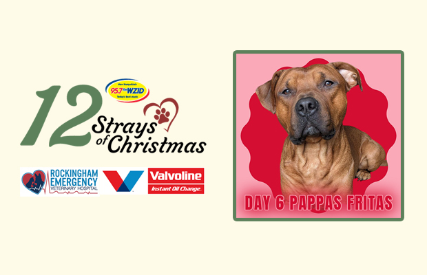 Day 7 – Papas Fritas