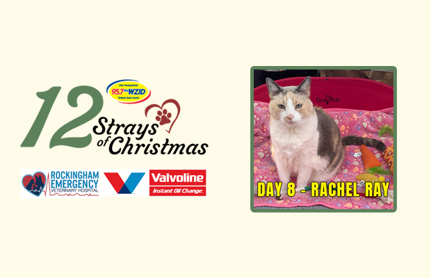 Day 8 – Rachel Ray