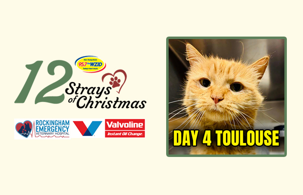 Day 4 – Toulouse Day 4 – Toulouse