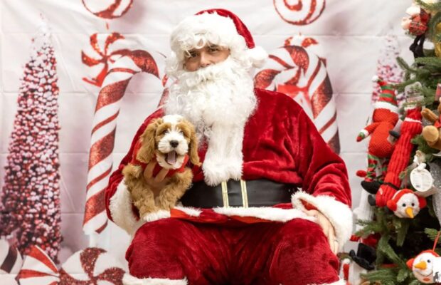 Get Your Pets’ Picture Taken with Santa!