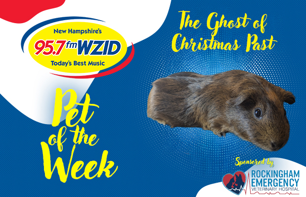 The Ghost of Christmas Past The Ghost of Christmas Past