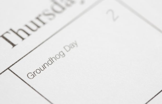 6 More Weeks Of Winter According To The Groundhog 6 More Weeks Of Winter According To The Groundhog