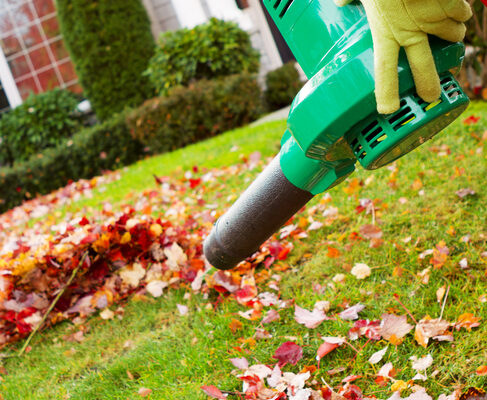Using The Leaf Blower Inside The House