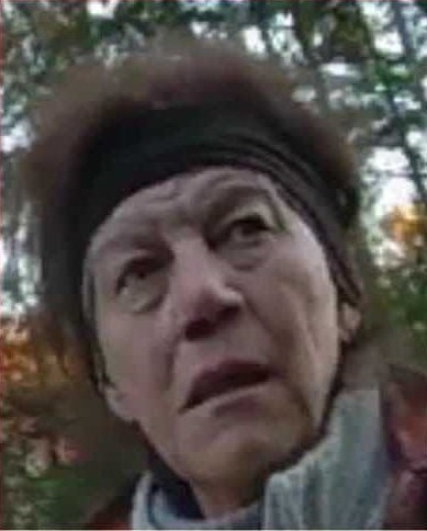 Woman from Weare accused of violating Civil Rights Act Woman from Weare accused of violating Civil Rights Act