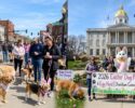 Dog Easter Parade