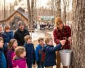 Tap into Maple at Prescott Farm