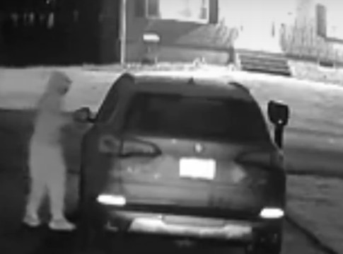 Salem Police search for suspect that’s been rummaging through vehicles