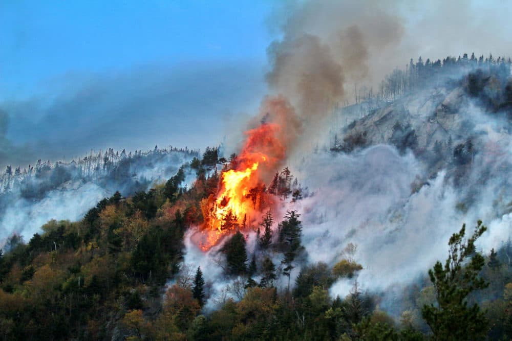 Drought conditions raise risk of New Hampshire wildfires