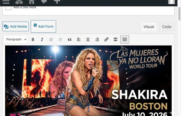 Shakira-TD Garden Boston