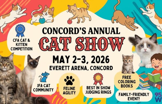 Cat Show-Concord