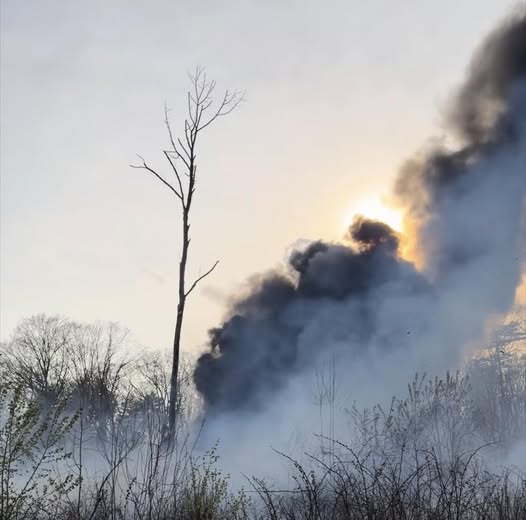 Multiple crews battle a 5 alarm brush fire in Deerfield