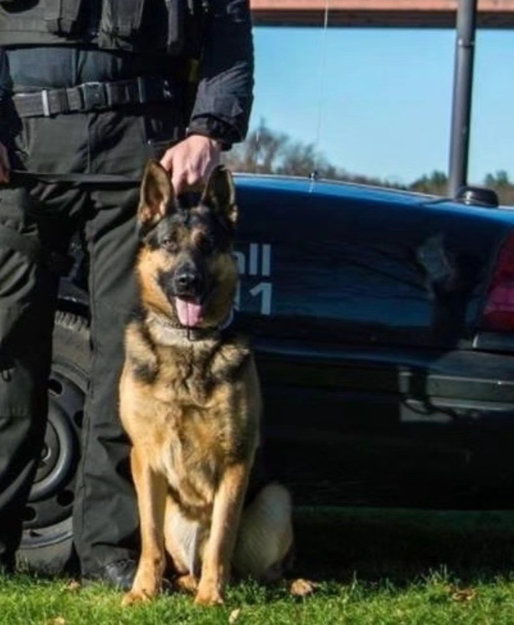 Beloved Manchester Police K-9 passes away