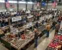 Gun Collectors Show-Concord