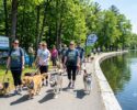 Mutt Strut-Manchester