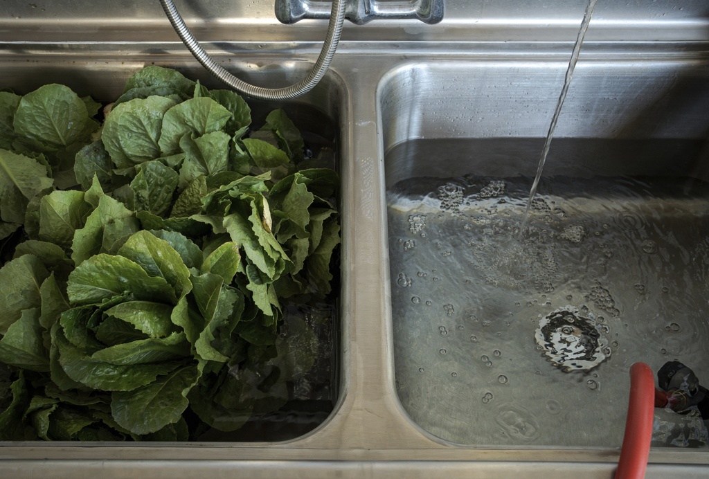 9 people infected with Cyclosporiasis after eating at Cheshire Medical Center cafeteria 9 people infected with Cyclosporiasis after eating at Cheshire Medical Center cafeteria