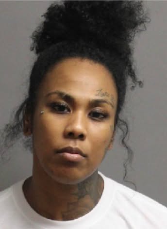 Hudson woman facing multiple drug charges Hudson woman facing multiple drug charges