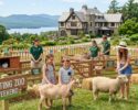 Petting Zoo Weekend-Castle in the Clouds, Moultonborough
