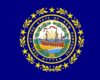 New Hampshire State Flag