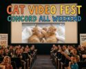 Cat Video Fest-Concord all weekend-Concord