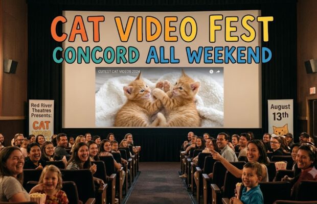Cat Video Fest-Concord all weekend-Concord Cat Video Fest-Concord all weekend-Concord