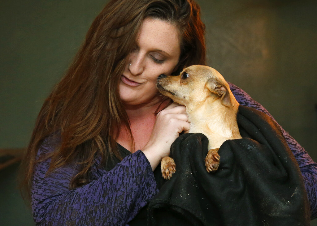 Dover man charged with abandoning two small dogs Dover man charged with abandoning two small dogs