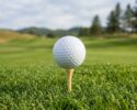 Swing With a Purpose Golf Tournament-Loudon