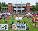 Wags to Whiskers Festival-Nashua
