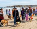 Halloween Dog Party and Beach Parade-Hampton