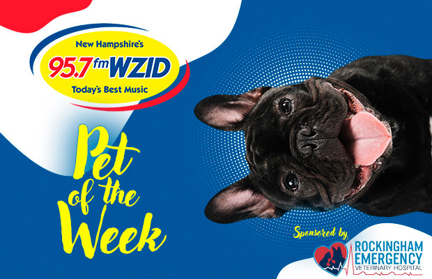 Pet of the Week Pet of the Week
